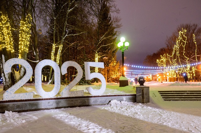 В новогоднюю ночь на территории Марий Эл не было происшествий