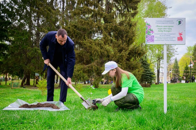 Юрий Зайцев посадил саженец легендарного Сталинградского тополя 
