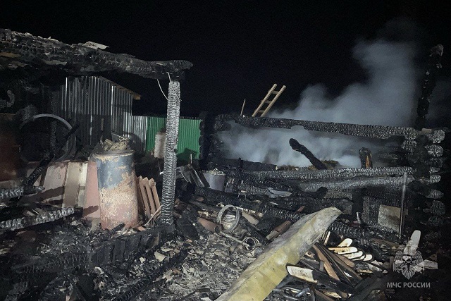 В Волжском районе при пожаре погибла домашняя живность