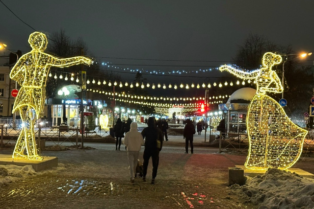 Самозанятые жители Марий Эл с 2026 года смогут получать пособие по временной нетрудоспособности