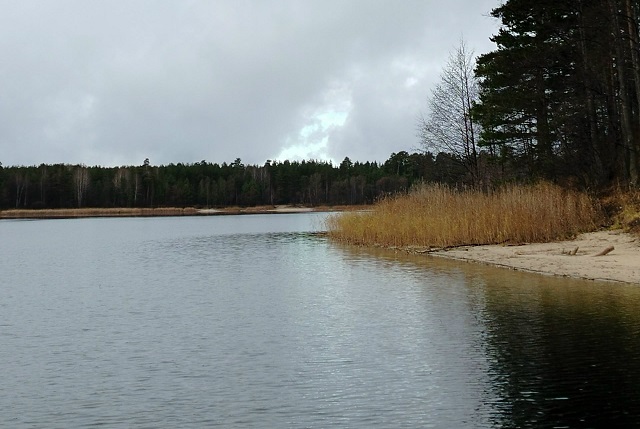 Специалисты объяснили природное явление на озере Яльчик