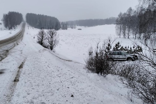 В Марий Эл легковой автомобиль съехал с трассы в кювет 
