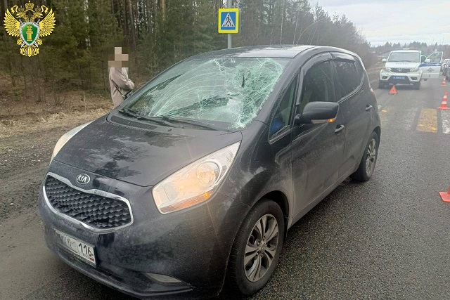 Пешеход попал под колёса иномарки на федеральной трассе 