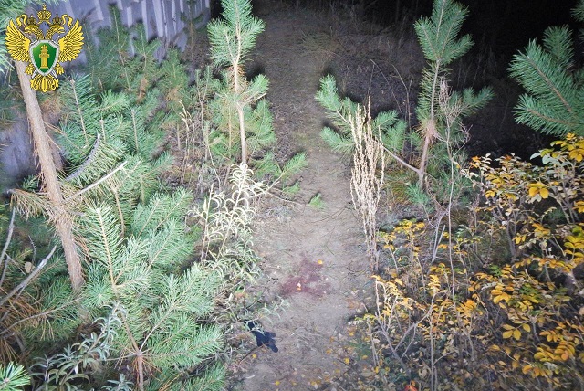 В городе Волжске 16-летний подросток устроил поножовщину 