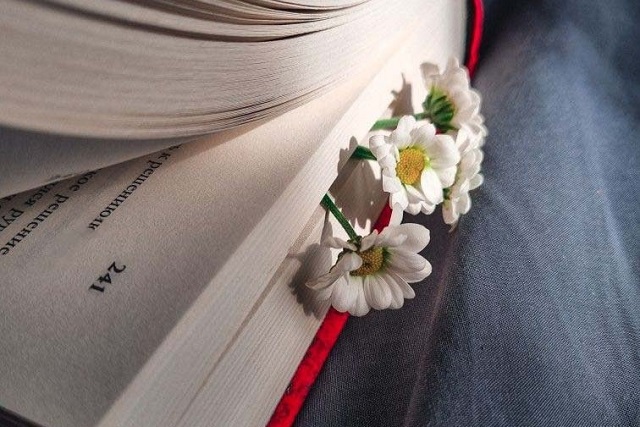 Волонтёры приглашают на благотворительную книжную ярмарку