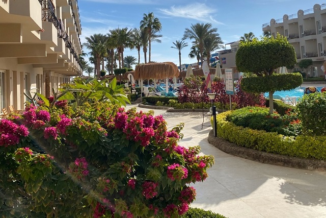 Где собираются отдыхать этим летом жители Йошкар-Олы? 