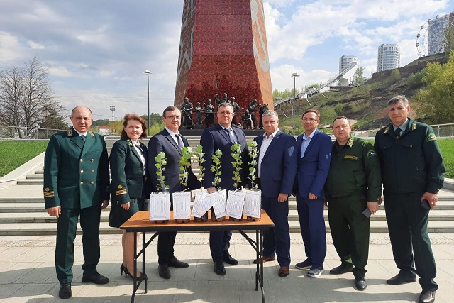 В Марий Эл прибыл «Тополь Победы» из Волгоградского ботанического сада