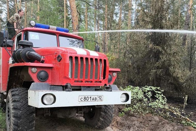 Большинство лесных пожаров в Марий Эл произошли из-за гроз 