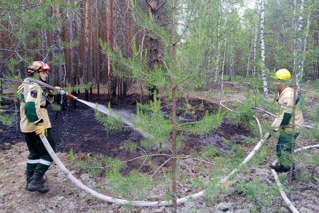 В лесах Республики Марий Эл сохраняется высокая пожарная опасность