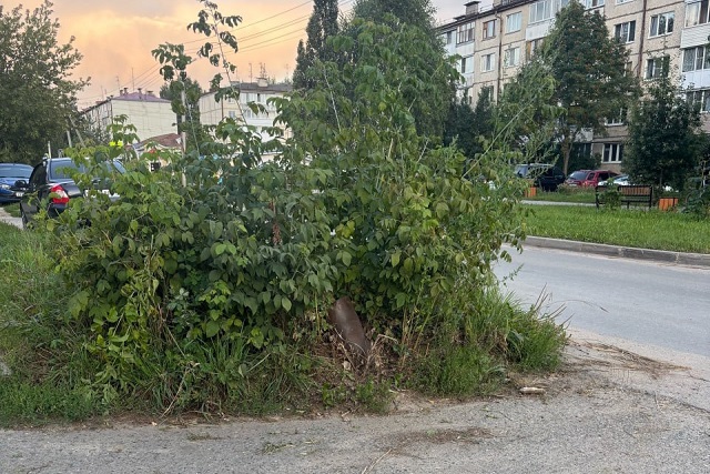 Инициативность жителей снизила угрозу аварий на участке дороги в Медведеве