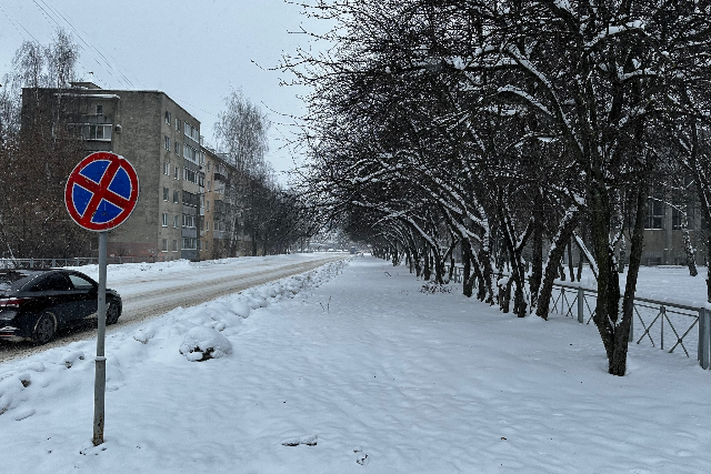 За первые дни января в Йошкар-Оле выпало более трети месячной нормы осадков