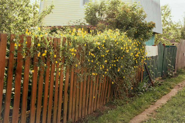 В садоводческих товариществах участились случаи краж  В садоводческих товариществах участились случаи краж