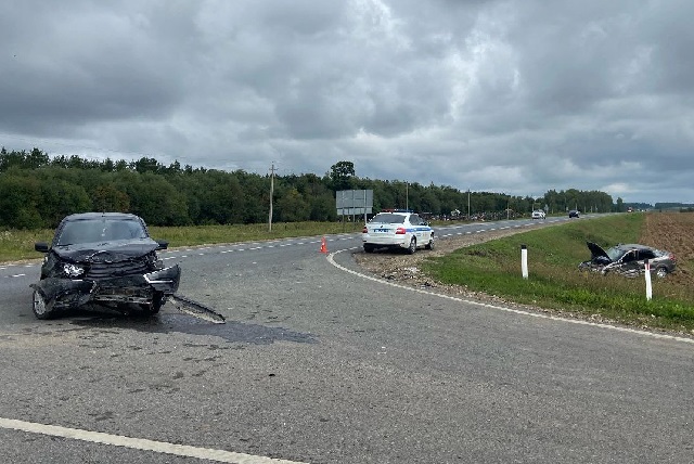 Два ребёнка пострадали в ДТП в Медведевском районе Два ребёнка пострадали в ДТП в Медведевском районе