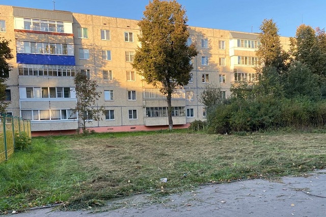 В Козьмодемьянске по сигналу горожан привели в порядок территорию