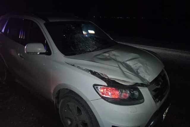 На Санчурском тракте иномарка насмерть сбила пешехода