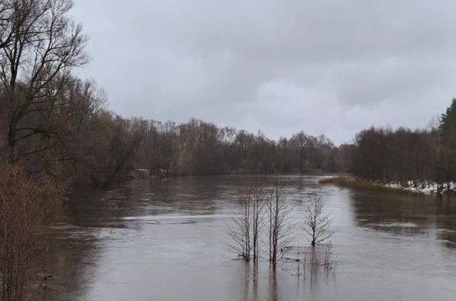 В нацпарке «Марий Чодра» уровень воды в реках превысил норму на 1,5 метра