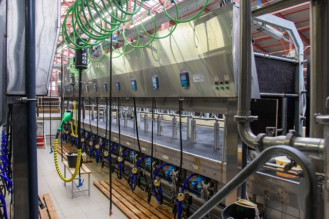 В Марий Эл реализован инвестпроект по производству молока  В Марий Эл реализован инвестпроект по производству молока