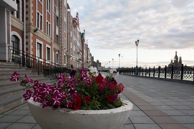 В Йошкар-Оле на содержание цветников и клумб потратят 25 млн рублей