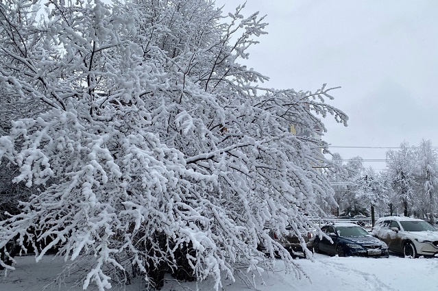 На территории Марий Эл произойдёт смена синоптической ситуации  