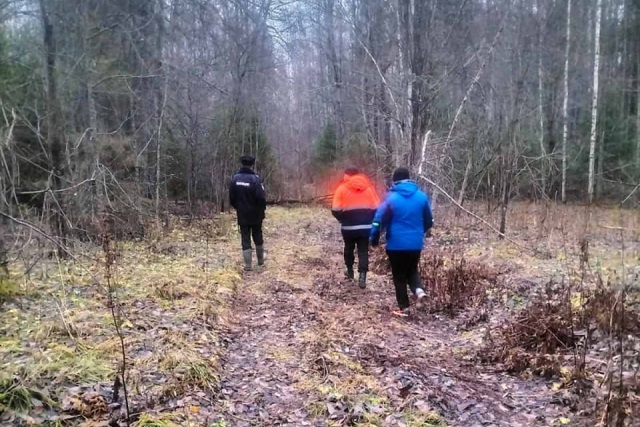 Спасатели успешно завершили поиск мужчины, заблудившегося в лесу 