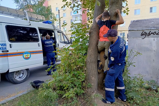 Спасатели помогли ребёнку, застрявшему между деревьев Спасатели помогли ребёнку, застрявшему между деревьев