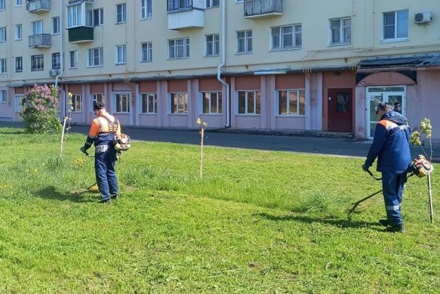 В мэрии Йошкар-Олы напомнили, кто отвечает за покос травы у дома