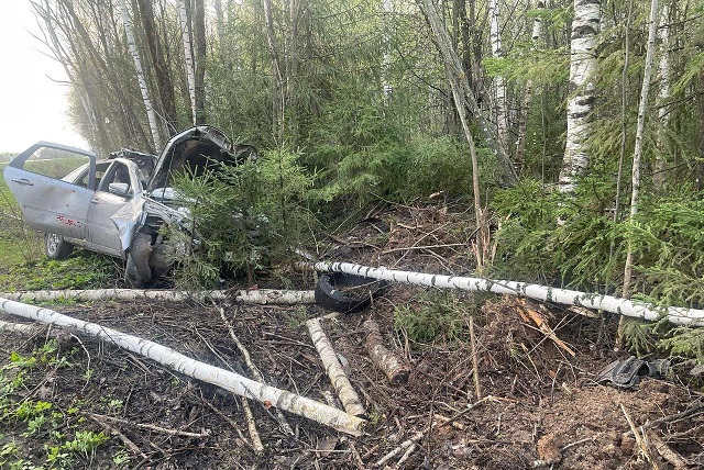 В Марий Эл пять человек получили травмы в результате ДТП с лосём 