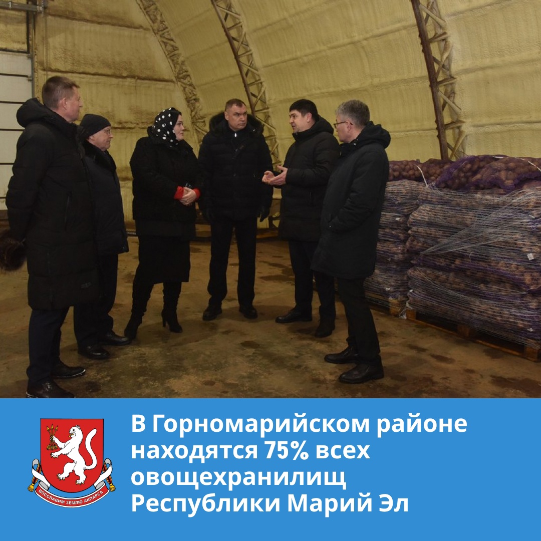 В Горномарийском районе находятся 75% всех овощехранилищ Марий Эл