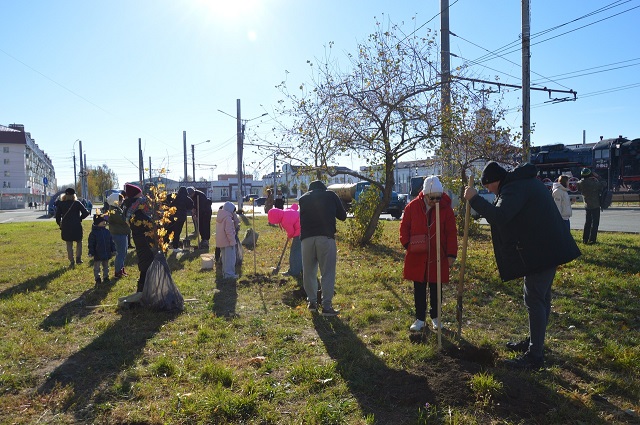 У Сквера железнодорожников в Йошкар-Оле высадили деревья