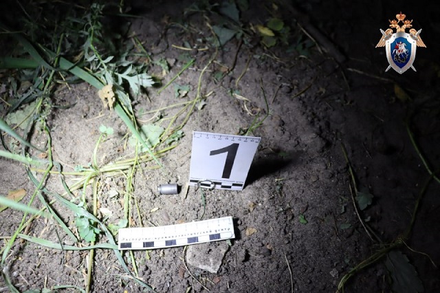 В Волжске полицейскому пришлось применить табельное оружие 