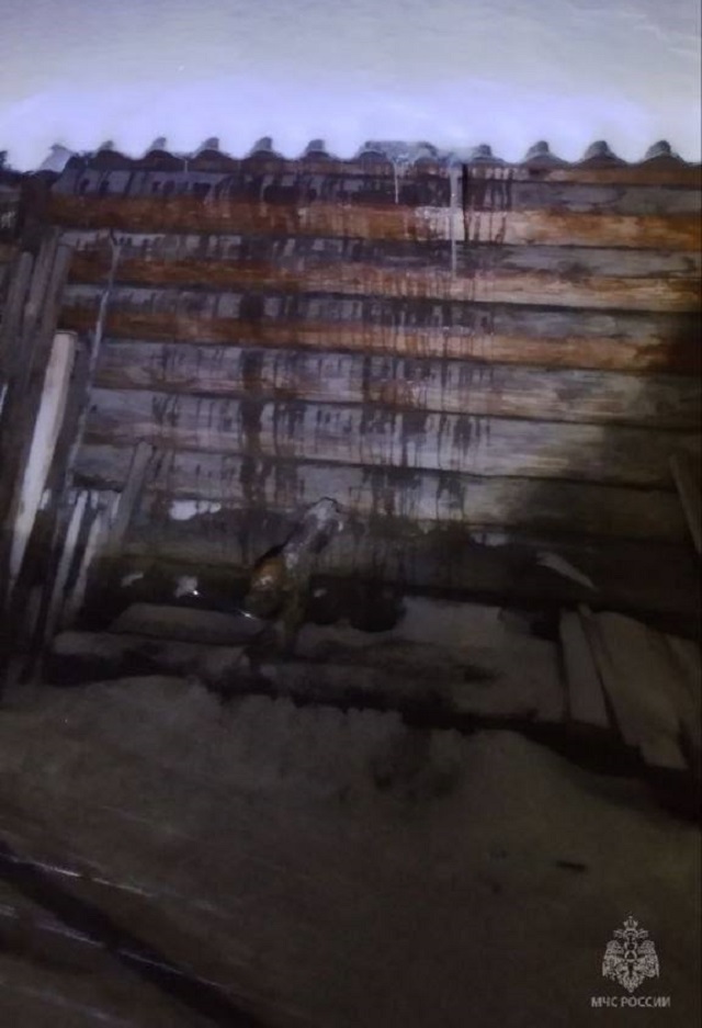 В Медведевском районе огнём повреждена баня