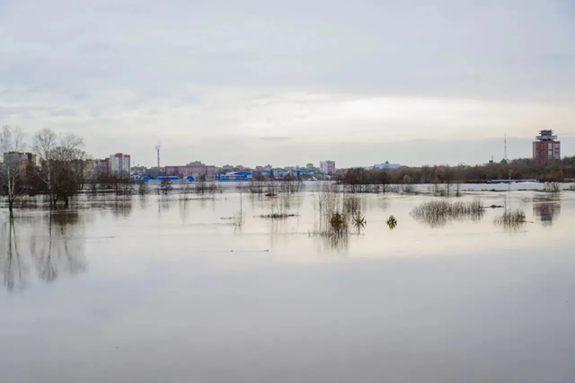 Глава Марий Эл: уровень воды постепенно снижается, подтоплен 221 дом