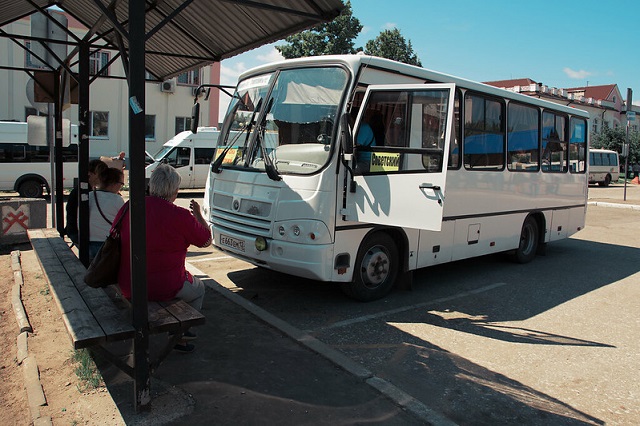 Запущен сезонный автобусный маршрут, связывающий Медведево и сады «Малиновка»