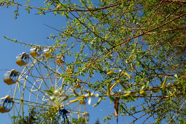 В Йошкар-Оле благоустроят Центральный парк культуры и отдыха 