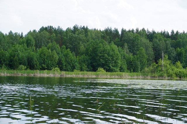 Эпидемиологи Марий Эл проверят качество воды в озере Яльчик  Эпидемиологи Марий Эл проверят качество воды в озере Яльчик