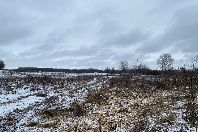 Что будут строить в Йошкар-Оле на пустыре за «Тёплой речкой»?  