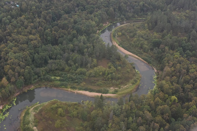 Из-за сухой и жаркой погоды в Марий Эл ограничено посещение лесов 