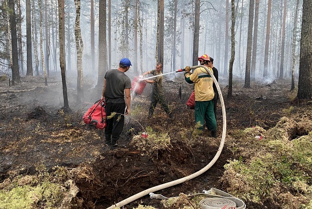 В лесах Марий Эл сохраняется пятый класс пожарной опасности 