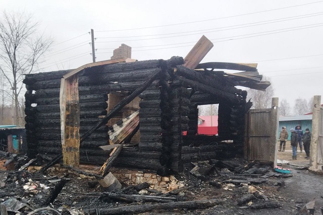 В результате пожара в Новоторъяльском районе погибла корова