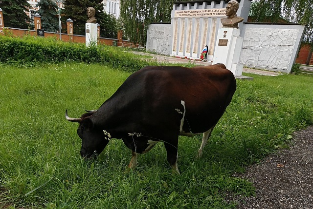 22.jpg 22.jpg